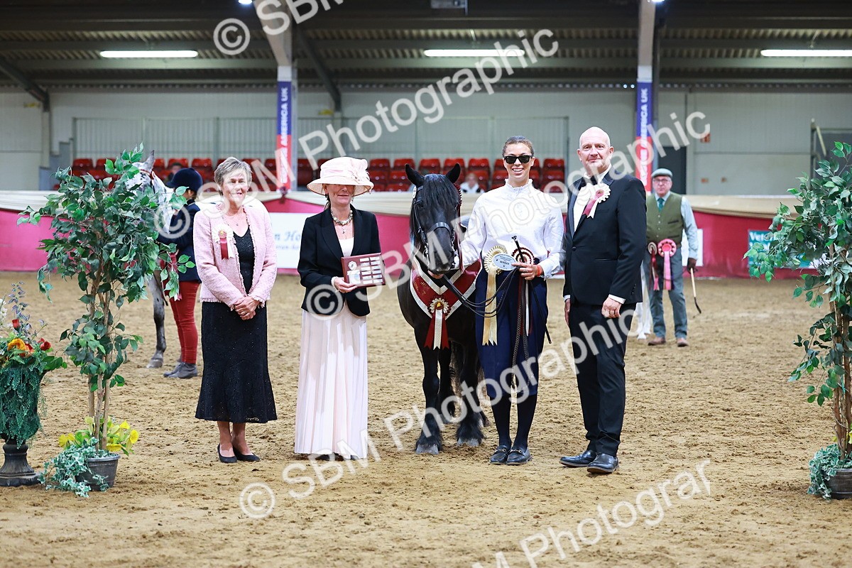 SBM_16299 - Class 901 - Sup Final - IH Diamond