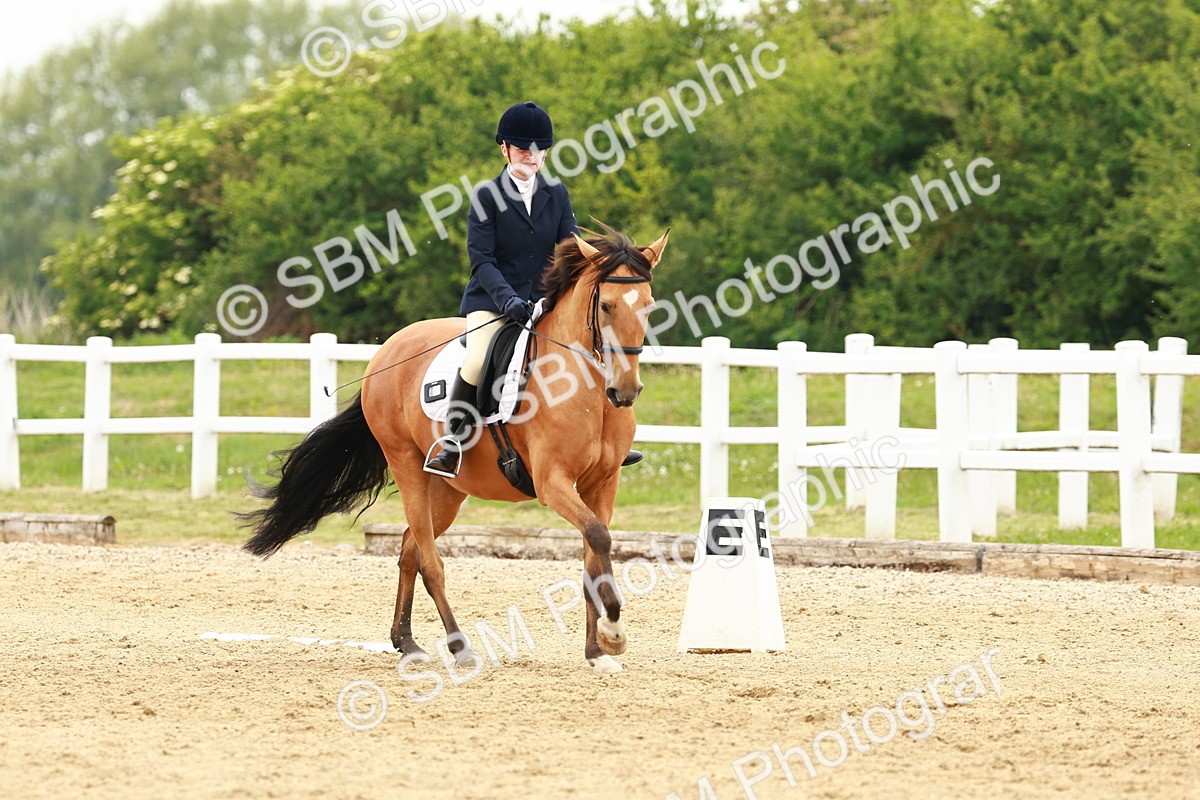 SBM_001401 - Class 7 - Novice 5