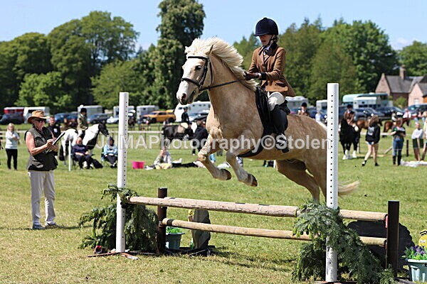 IMG_3669 - Working Hunter