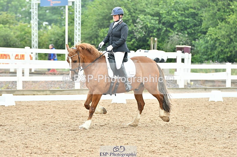 230708A-135450-02881 - Elementary 43