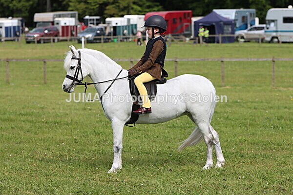 IMG_2415 - Working Hunter