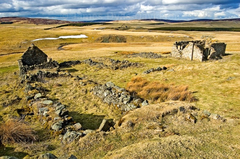 Bodiebae in situ - Cabrach