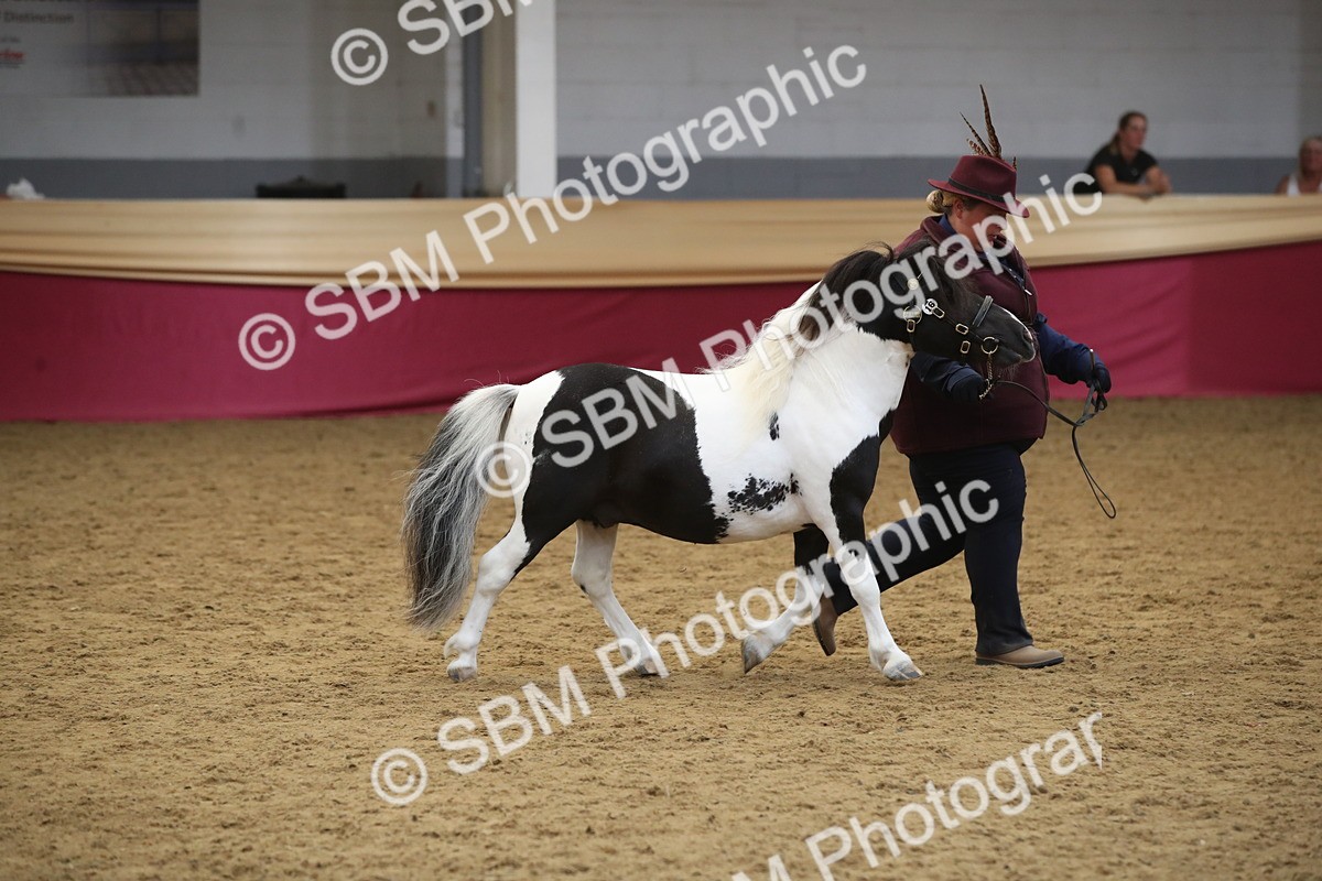 SBM_05725 - Class 9R - Regional IH Pre-Vet