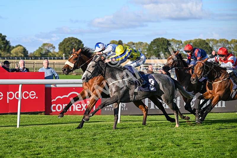 230925-Race 7-Hill O Rue-2473 - Race 7