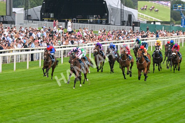 250725-Race 3-Amakhala Warrior-5699 - Race 3 6.38pm Ire-Incentive, It Pays To Buy Irish EBF Restricted Novice Stakes