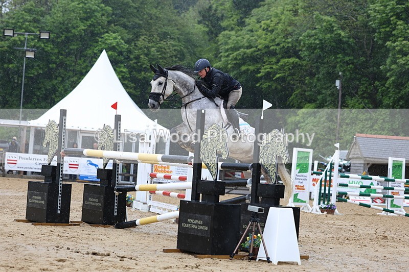 3E7A7403 - Class 8: Senior Foxhunter/1.20 open