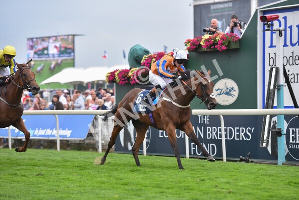 yr18082022r7-31 - Race 7 5.20pm British Stallion Studs EBF Fillies' Stakes