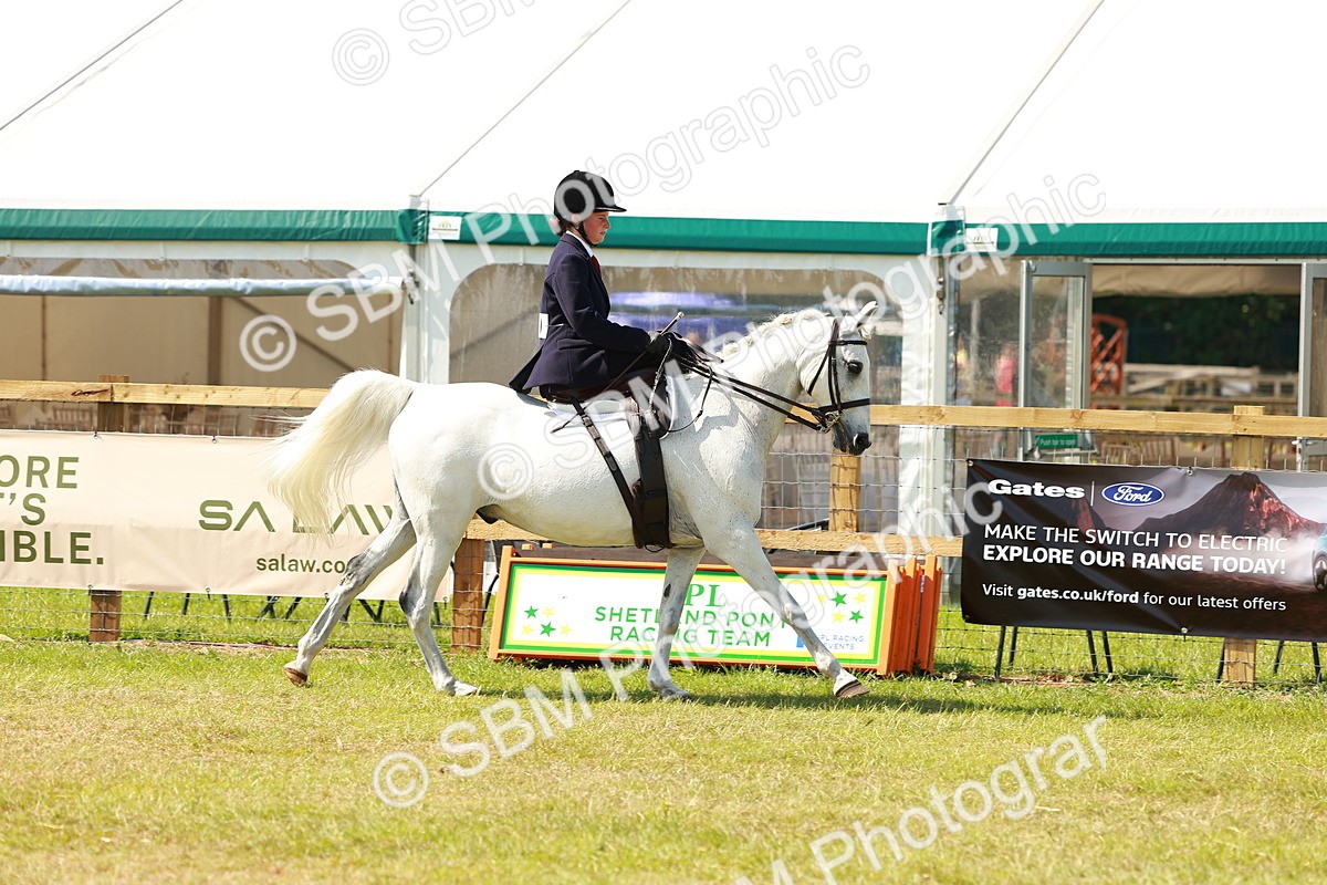 SBM_13321 - Class 70-71 - Side Saddle