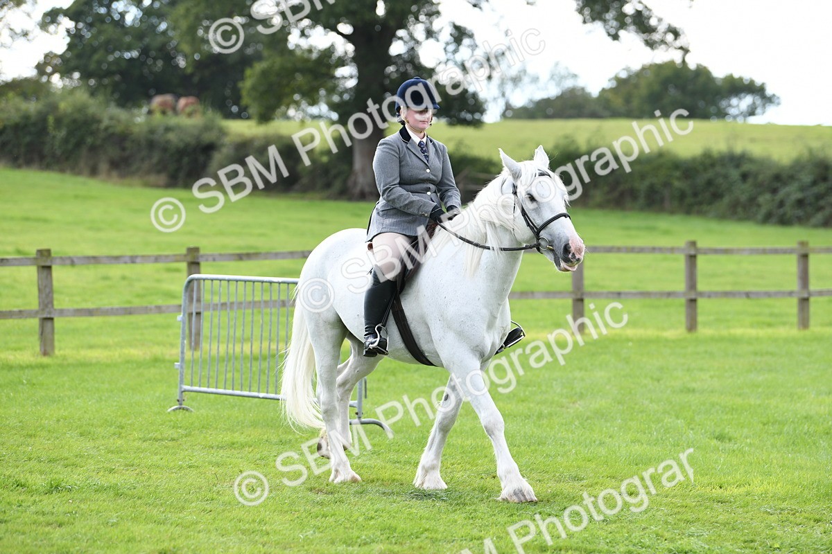 SBM_46693 - S12 - Family Horse & Pony