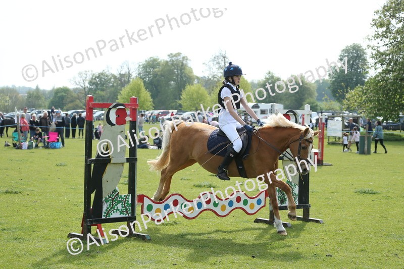 20260426-1618 - Class 14 - Novice 60cm