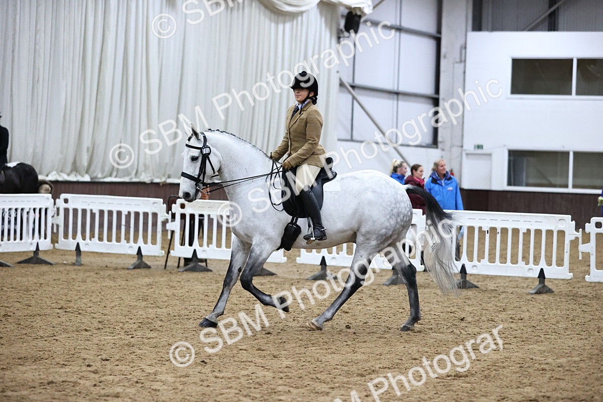 SBM_6350 - Class 45-42 - Ridden Irish Breeds-Ridden Cob