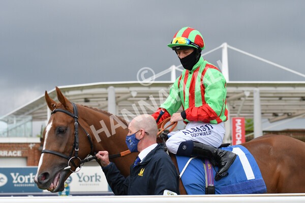 yr14052021r7-16 - Race 7 4.50pm Irish Thoroughbred Marketing Stakes