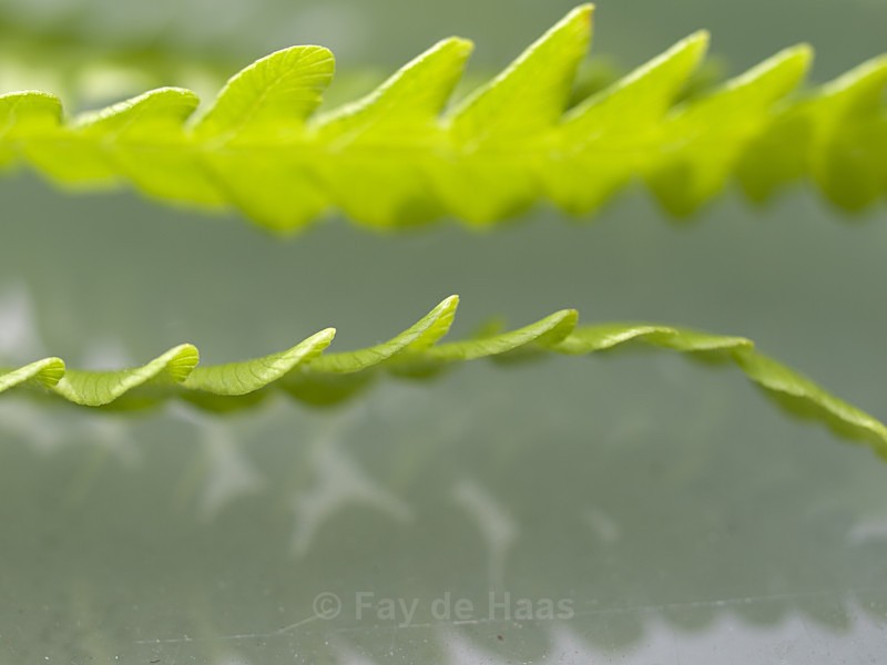  - Nature's Wonders