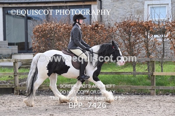 BPP_7426 - RING 1  (RIDDEN HORSES / IN HAND / VETERAN ETC)