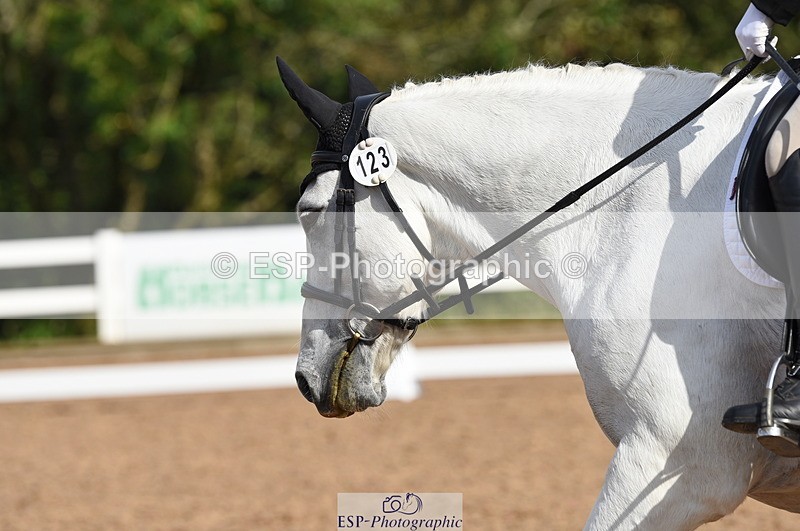 230912A-102836-00335 - Cls 5 Novice 39