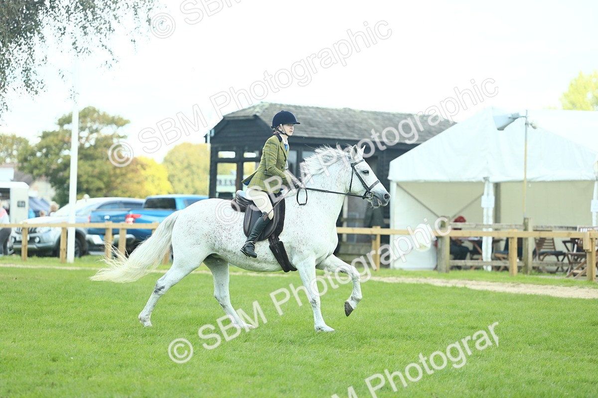 SBM_43026 - S30 - M&M Working hunter Pony