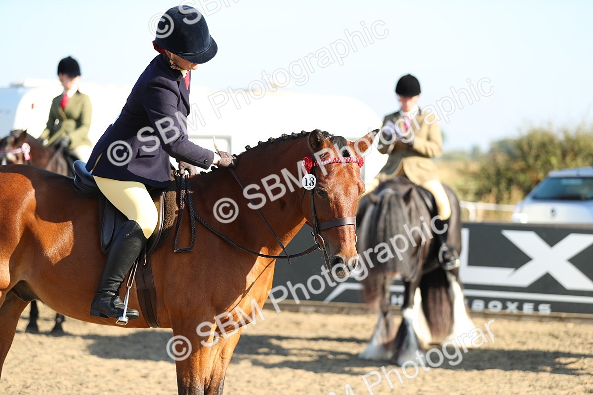 SBM_00439 - Class 41 Best Turned Out Ridden