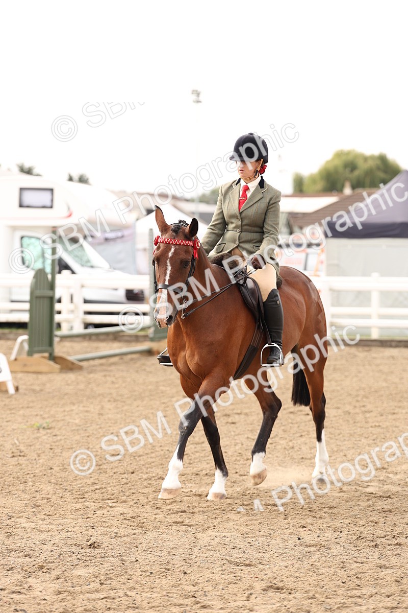 SBM_01519 - Class 52 - Ridden Veteran