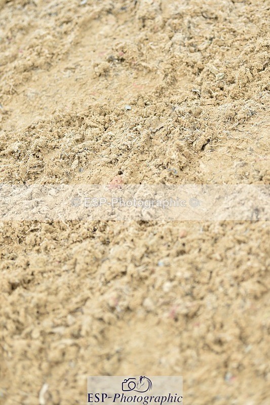 230706-091920-00083 - Cls 4 4 year old