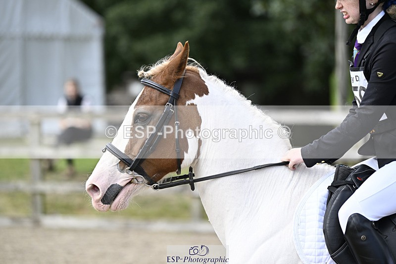 240823X-155248-18928 - 70cm R2 15.20 to 16.40