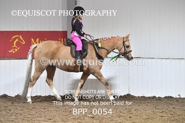 BPP_0054 - CLASS 2 30CM