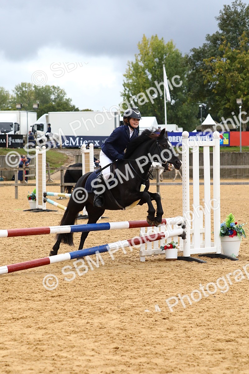 SBM_62362 - J64 - Junior Pony 60cm Championship