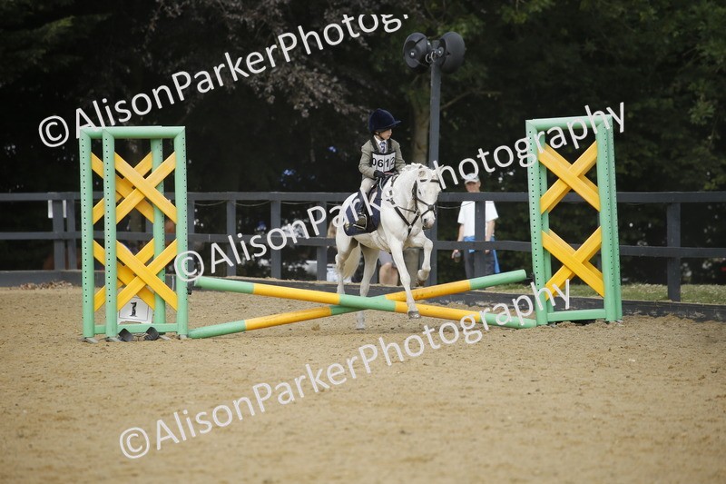 20250622-3734 - 50cm