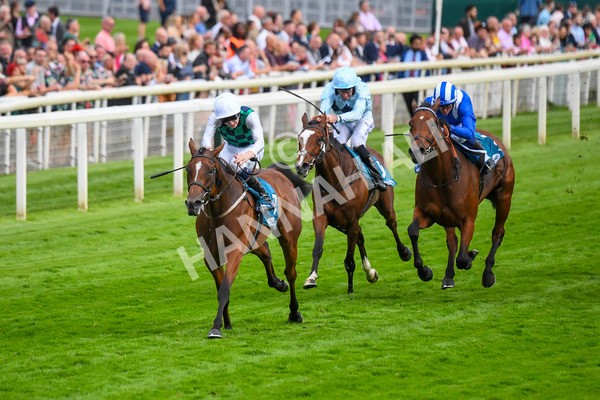 280723-Race 5-Midnight Mile-0527 - Race 5 7.15pm British EBF 40th Anniversary Lyric Fillies' Stakes