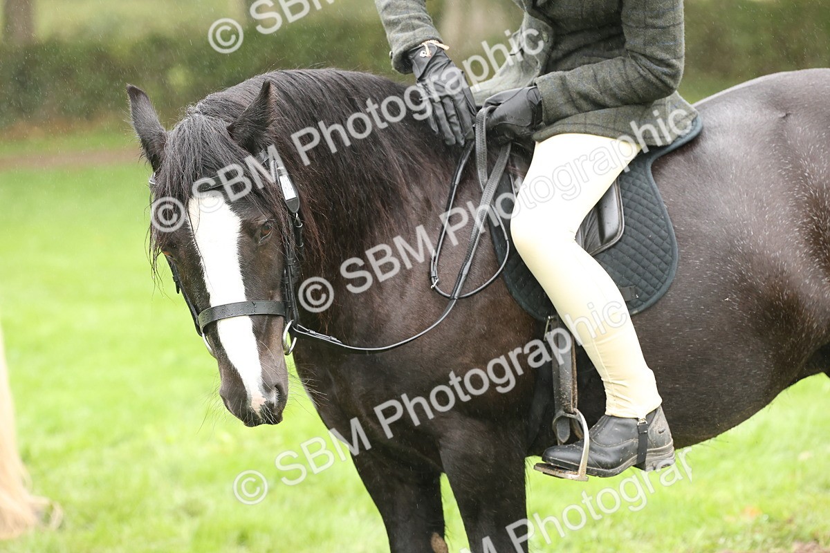 SBM_72810 - S70 - Traditional Cob Ridden