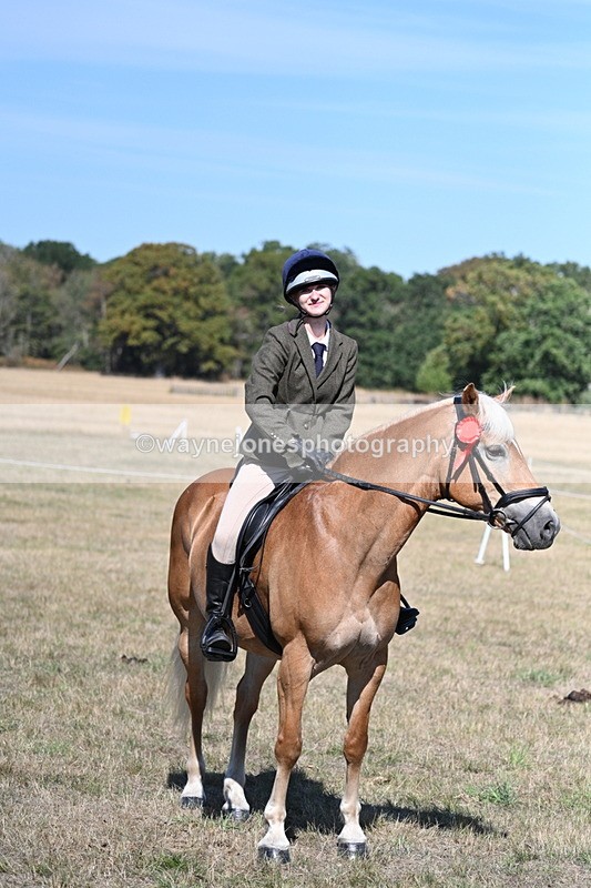 WJ7_1328 - Class 41 Prettiest Mare