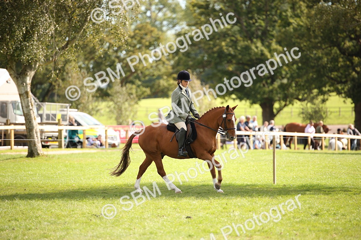 SBM_50045 - S26 - Young Veteran - Ridden