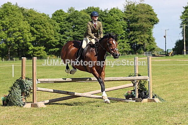IMG_4699 - Working Hunter