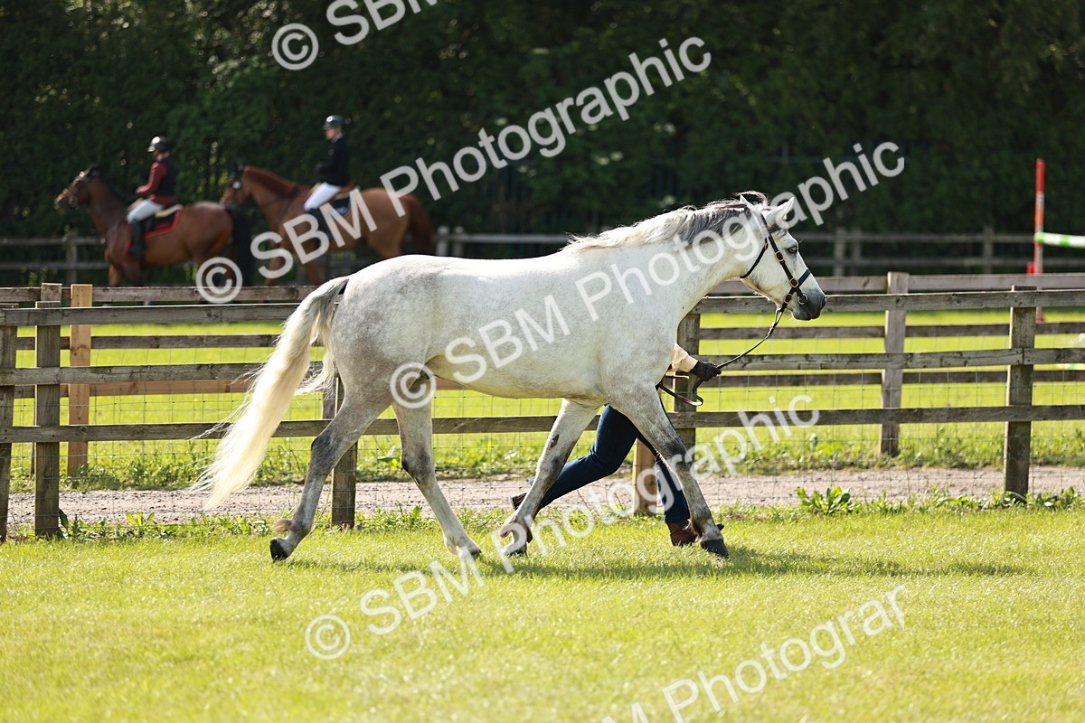 SBM_01705