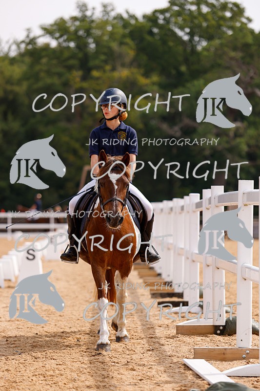 _R6A2296 - Dressage Morning