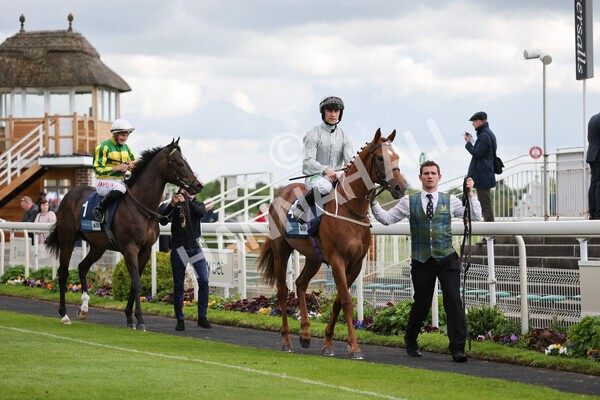 yr11052022r7-8 - Race 7 5.15pm British Stallion Studs EBF Novice Stakes