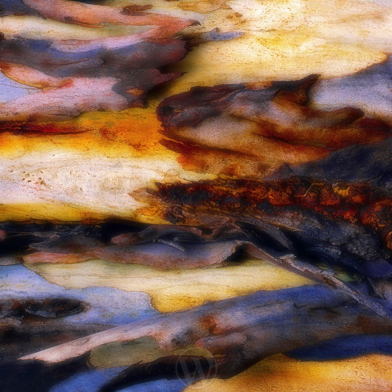 Rare Earth 2Abstract - Abstracts