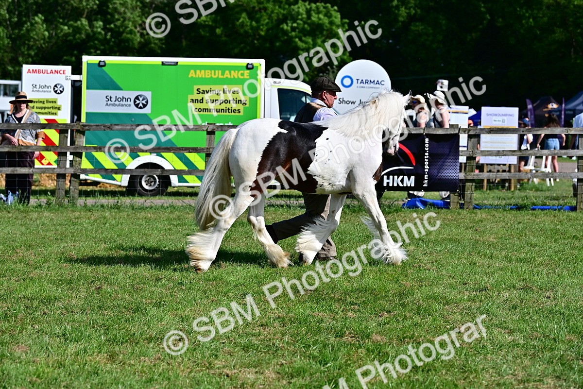 SBM_10041 - Class 63-65 - Traditional Gypsy Cobs In Hand & Ridden