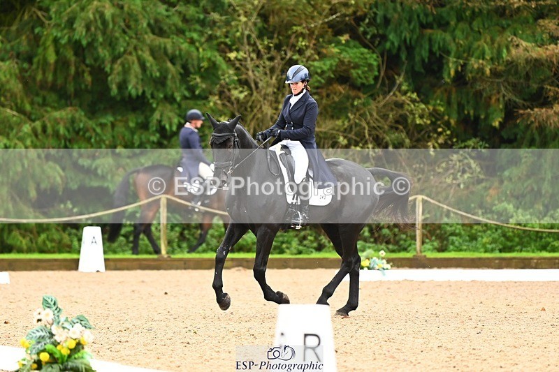 231021-115304-15011 - 343-MIDNIGHT.ROLLERCOASTER-Alison.Lidstone-DR