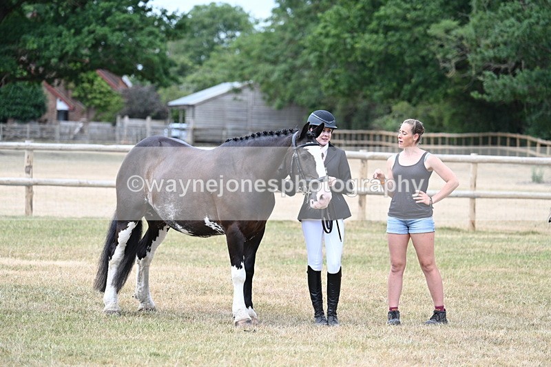 WJ7_1880 - Class 4a Prettiest Mare 14.2hh and over hand
