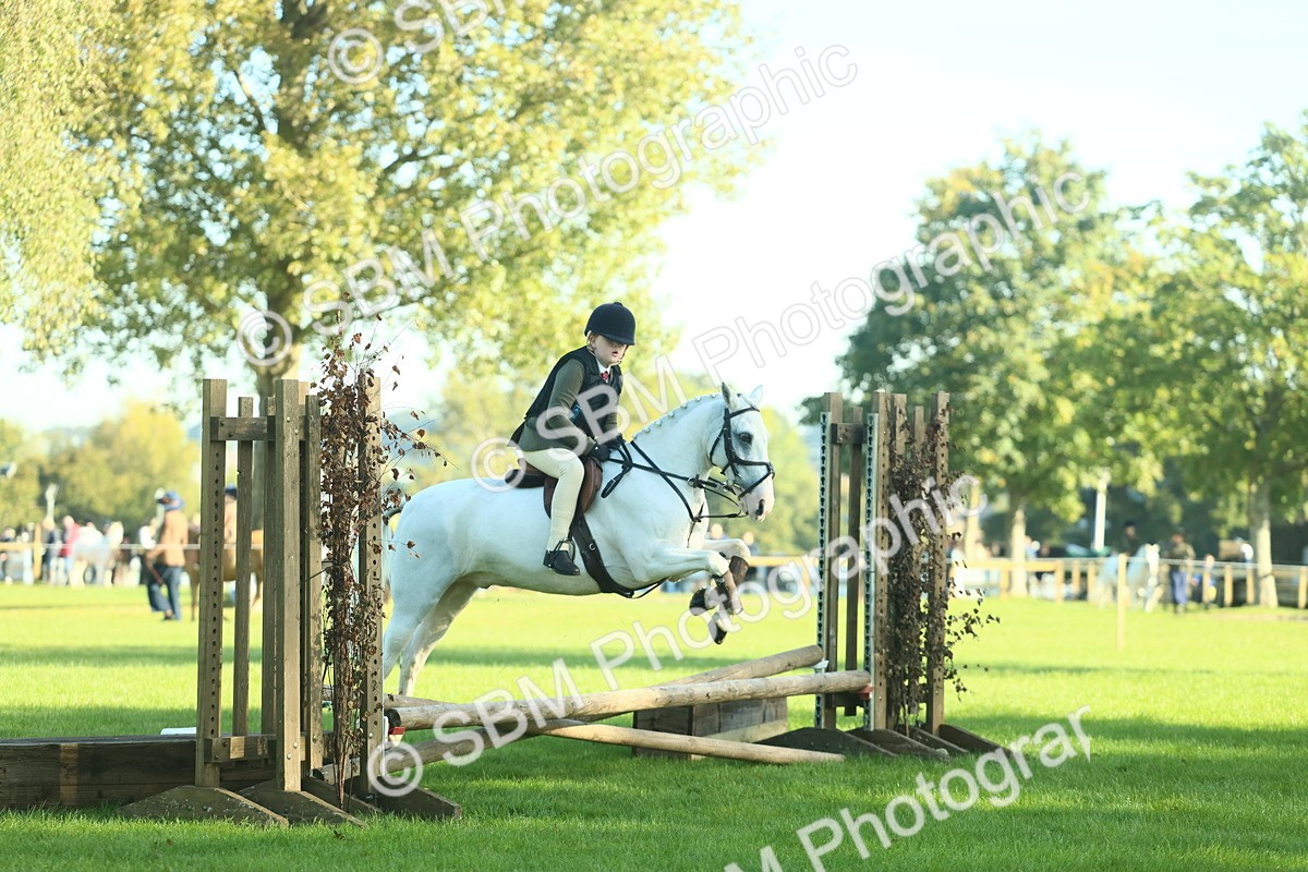 SBM_36271 - S29 - Novice & Newcomers Working Hunter Pony