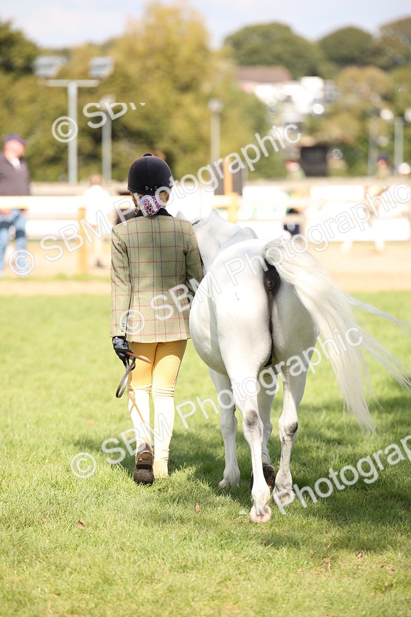 SBM_44445 - S24 - Young Veteran in hand