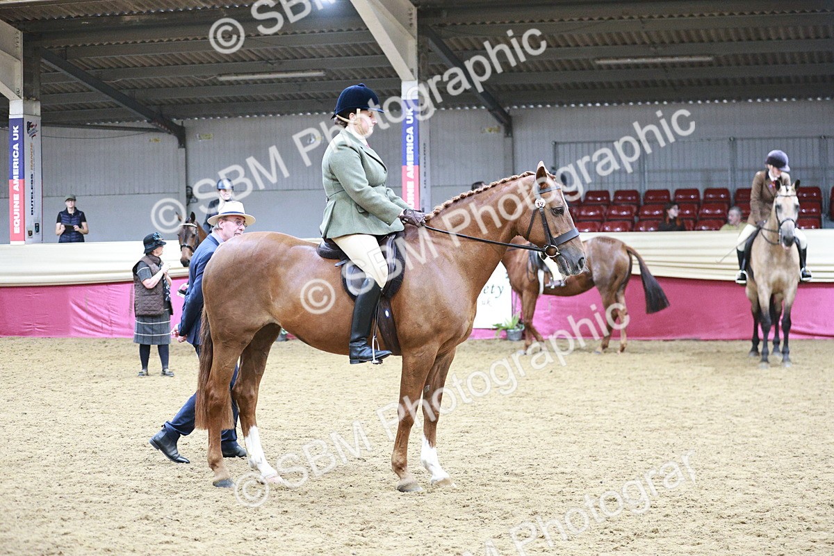 SBM_03387 - Class 6A Area Ridden Pre-Vet