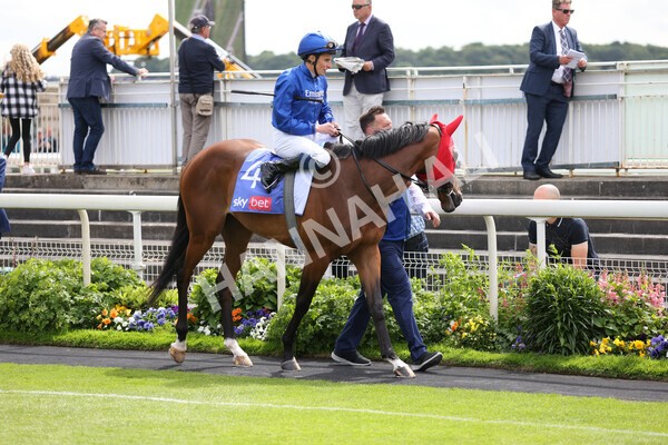 yr11062022r4-2 - Race 4 3.05pm Sky Bet Grand Cup