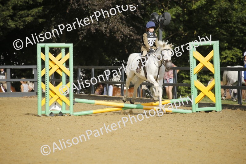 20250622-1251 - 40cm