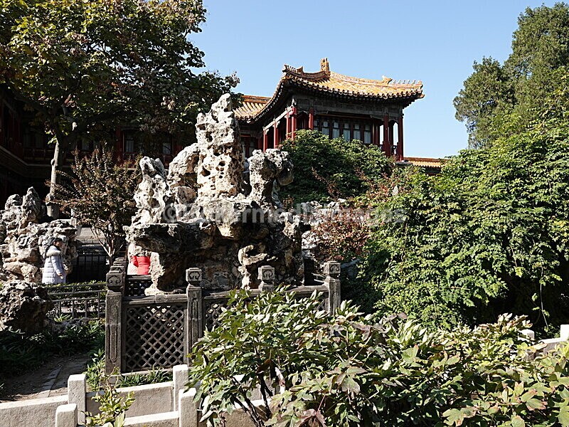 CHINA__1146 - China 2019