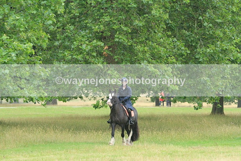 IMF_1426 - Time at Castle Jump 09:18 to 10:15