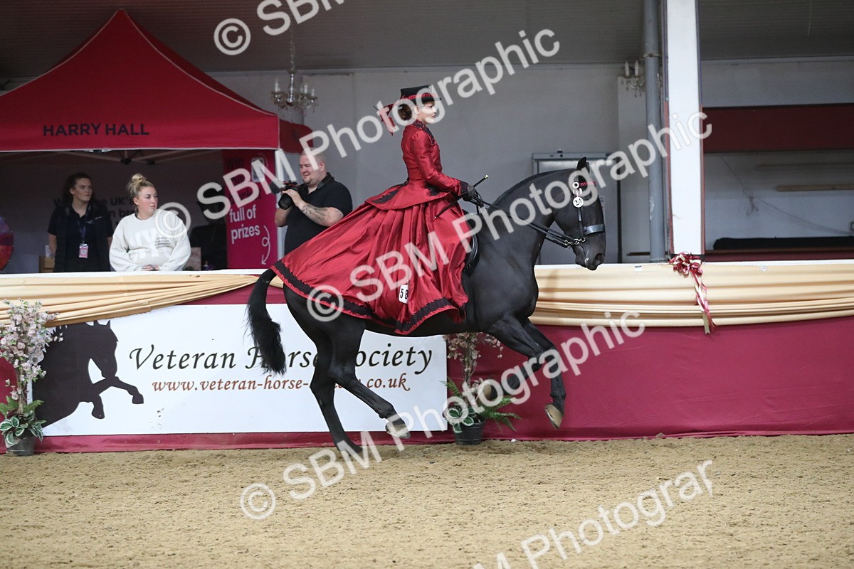 SBM_12144 - Class 107 Ridden Costume- Astride Adult (20+)