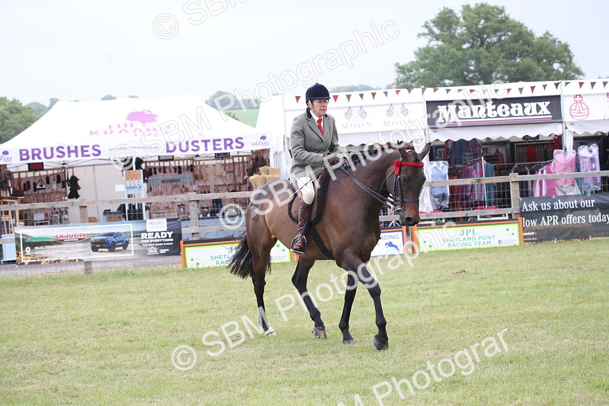 SBM_11443 - Class 94 - LIHS BSHA Racehorse to Showhorse
