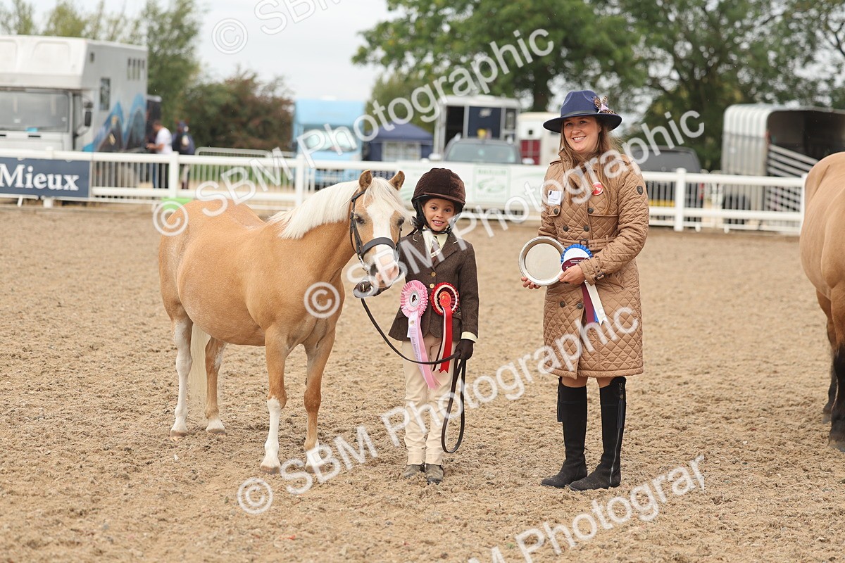 SBM_00610 - Class 13 Young Handler