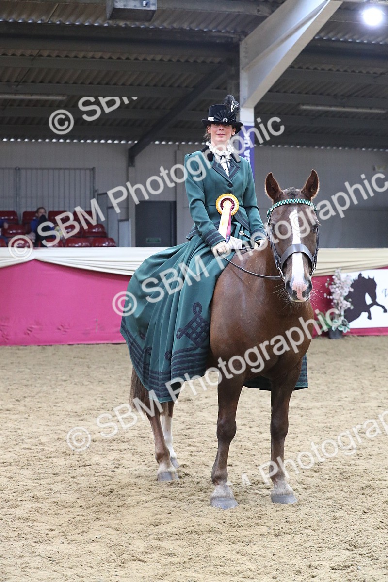 SBM_12197 - Class 107 Ridden Costume- Astride Adult (20+)